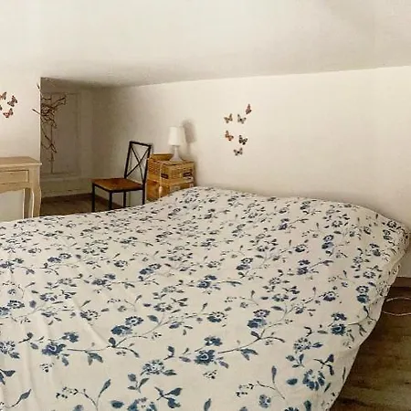 Loft With Little Backyard And Patio דירה