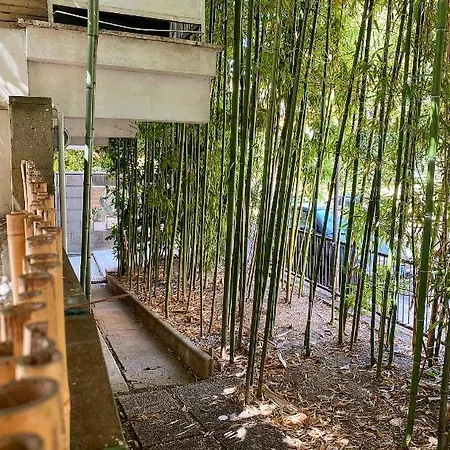 Loft With Little Backyard And Patio Apartament *